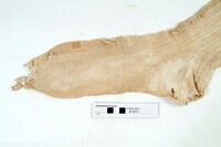 Archived Images\B_numbers\B1-B500\B351.03.jpg; B351.a-b; stockings, Major General John Gordon of Glenbuchat (or Glenbucket).; stockings, man's